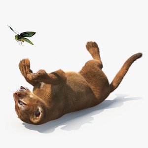Playful Puma Cub with Butterfly Fur 3D model