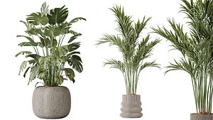 AV 6 Different set of indoor plants model
