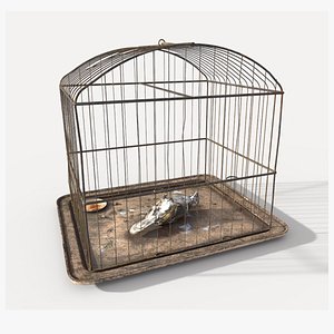 3D Old Bird Cage and Bird