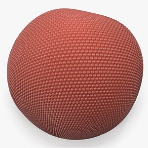 Realistic Facet Eye of Fly 3D