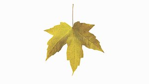 Summer - Autumn Leaves Collection