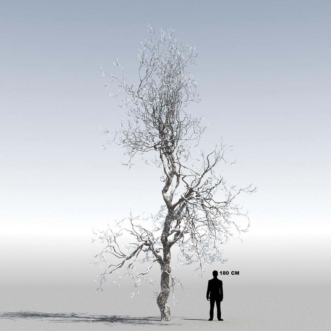 Max Broadleaf Leaf Tree