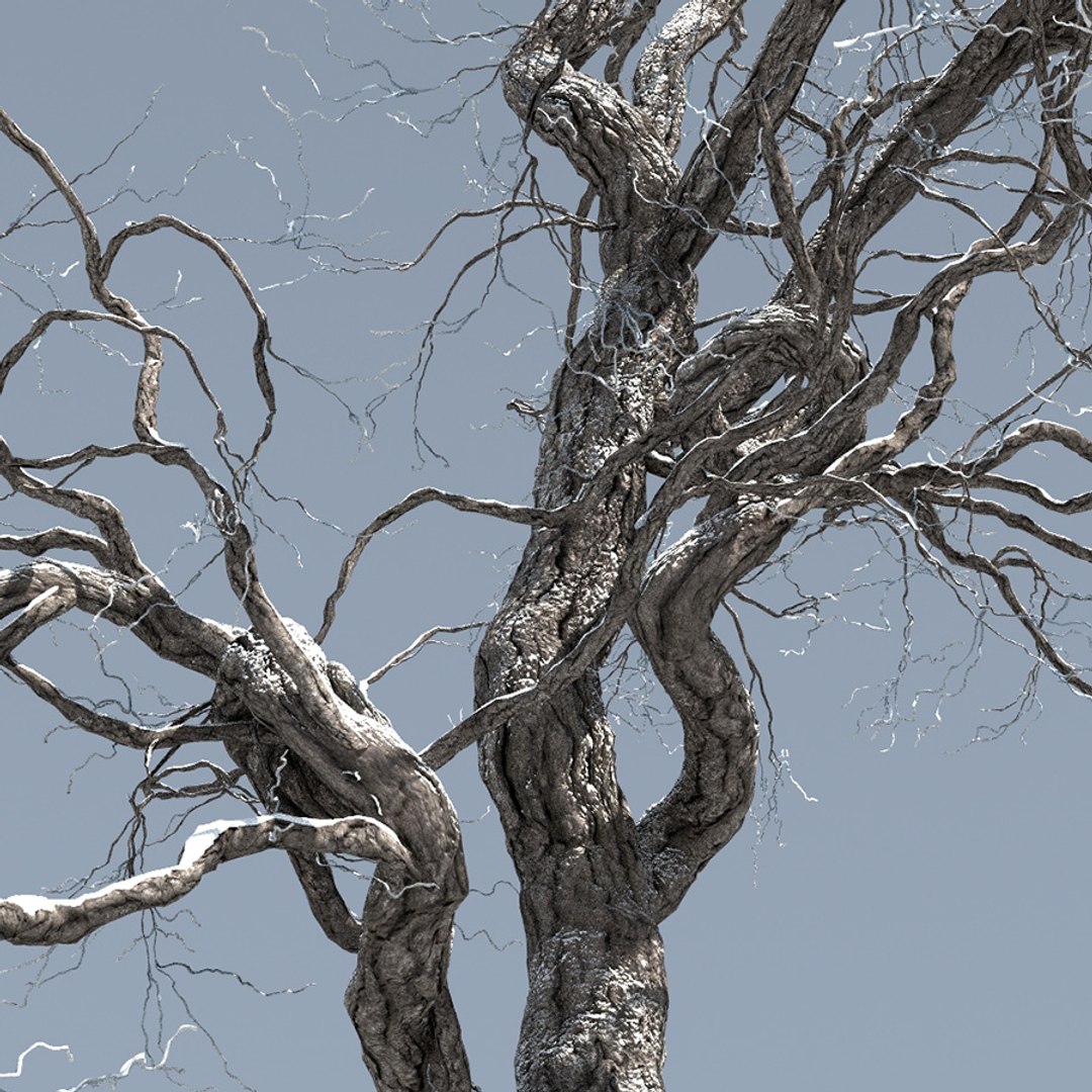Max Broadleaf Leaf Tree