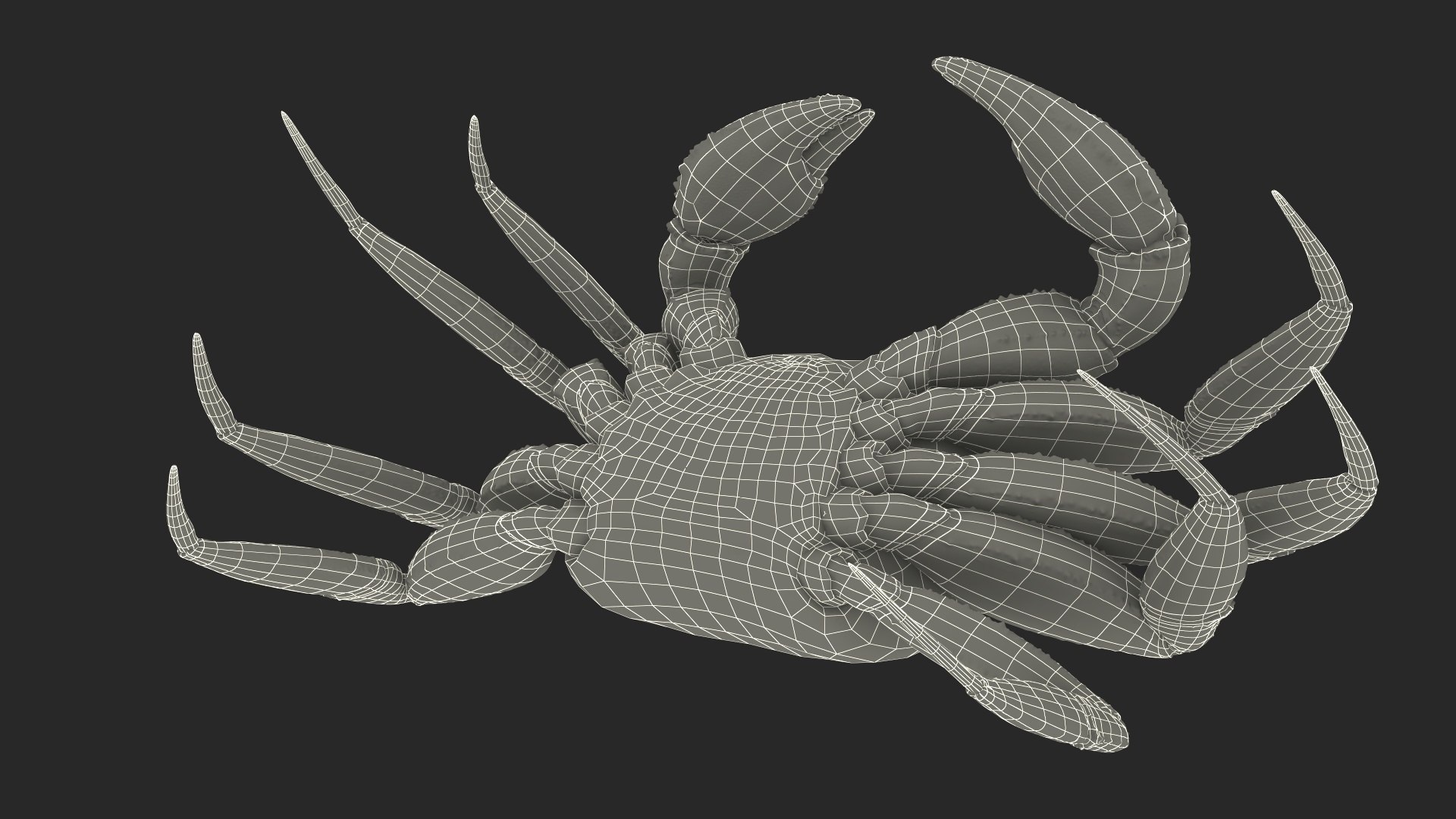 Tropical Ghost Crab Moving Pose Pink Beige Fur 3D https://p.turbosquid.com/ts-thumb/RE/SeKDT5/UE/tropical_ghost_crab_moving_pose_pink_beige_fur_019/jpg/1749603841/1920x1080/fit_q87/b663f345680f75bef34ef2c9d228b4c6c033a484/tropical_ghost_crab_moving_pose_pink_beige_fur_019.jpg