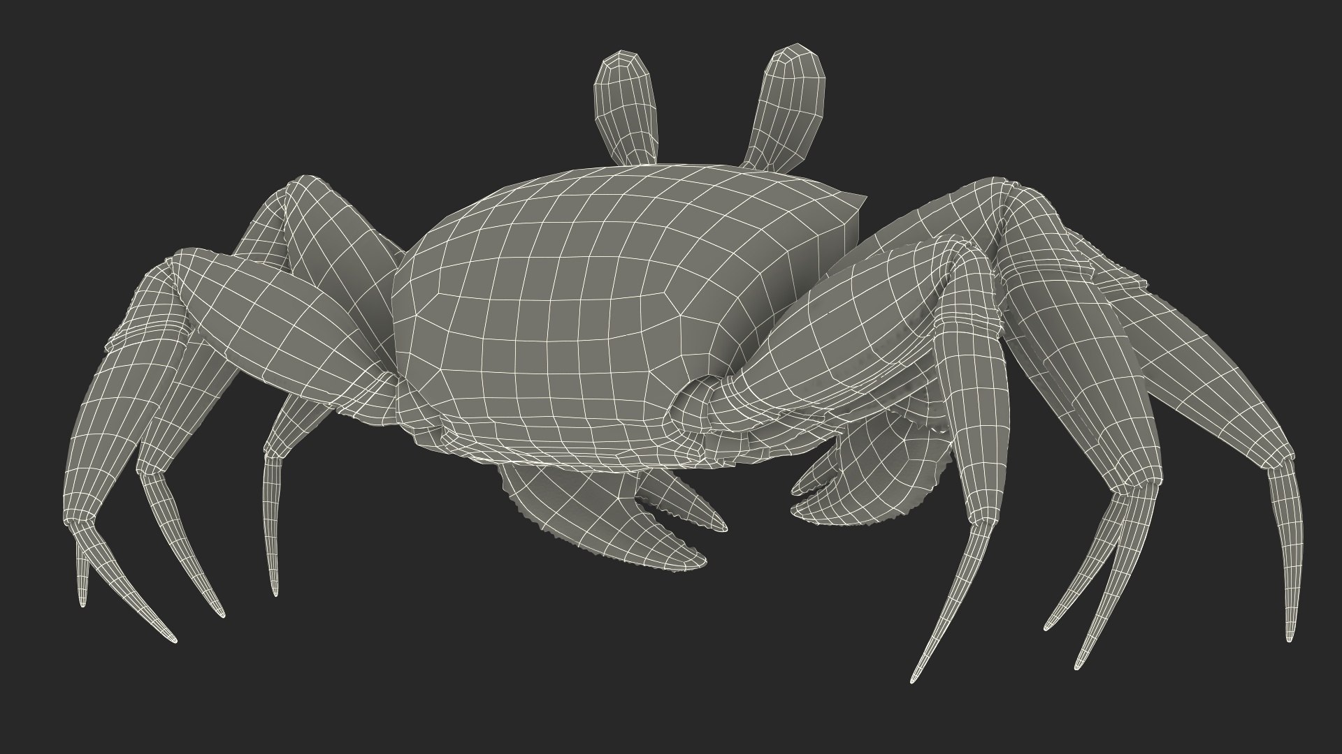 Tropical Ghost Crab Moving Pose Pink Beige Fur 3D https://p.turbosquid.com/ts-thumb/RE/SeKDT5/da/tropical_ghost_crab_moving_pose_pink_beige_fur_017/jpg/1749603835/1920x1080/fit_q87/331afcc9a6dd836e97bdabb8633904bbc1d62a0e/tropical_ghost_crab_moving_pose_pink_beige_fur_017.jpg
