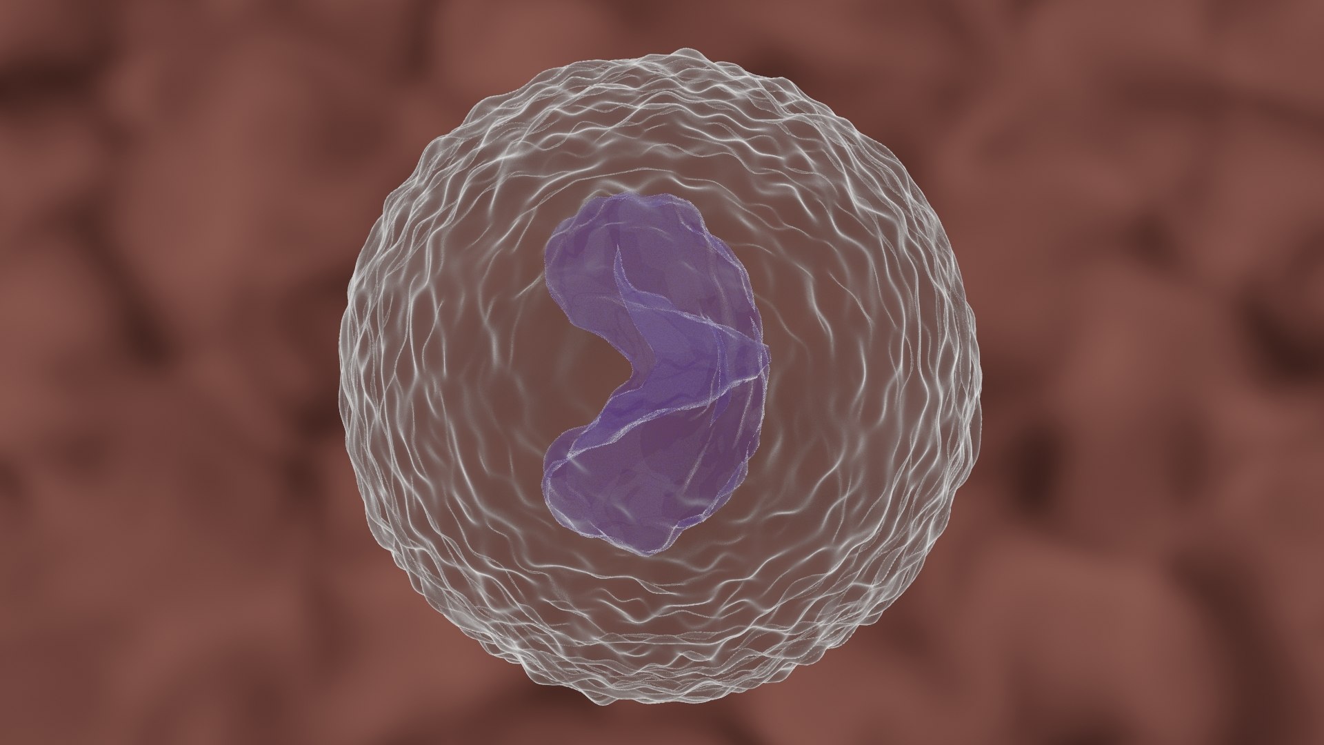 Monocyte Cell 3D - TurboSquid 1707774