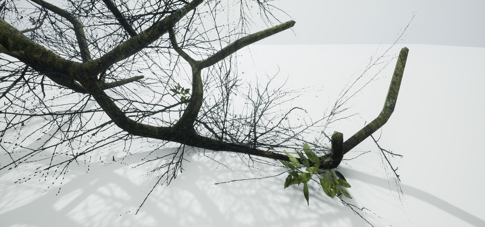 free leaves trunk 3d model https://p.turbosquid.com/ts-thumb/RE/XJHcoh/3EDCUoFU/highresscreenshot00049/png/1518307729/1920x1080/fit_q87/474440a0f7e7fb1ade28bd464476c1e100f00028/highresscreenshot00049.jpg