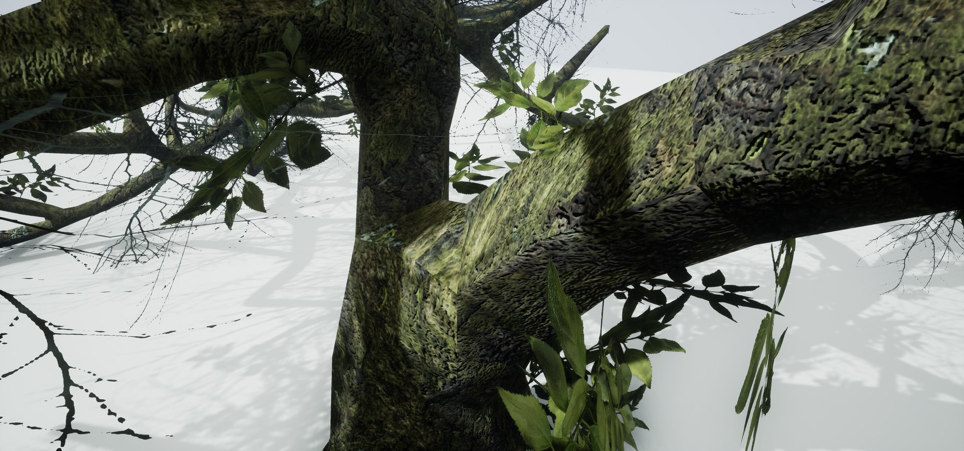 free leaves trunk 3d model https://p.turbosquid.com/ts-thumb/RE/XJHcoh/4Xzz507S/highresscreenshot00052/png/1518307729/1920x1080/fit_q87/1649dc22a58d843c5ad32669e30e0ed5a4820eae/highresscreenshot00052.jpg