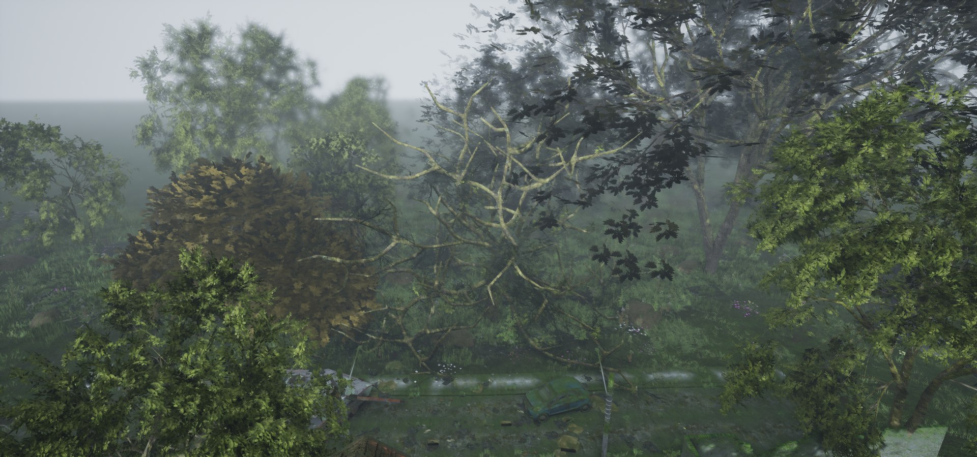 free leaves trunk 3d model https://p.turbosquid.com/ts-thumb/RE/XJHcoh/BAOiCmH9/highresscreenshot00064/png/1518307729/1920x1080/fit_q87/fde31238215351775502710a7e87d355e91fa6f1/highresscreenshot00064.jpg