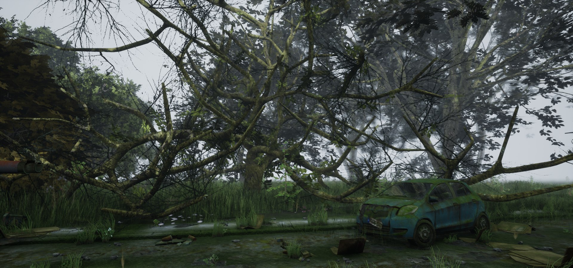 free leaves trunk 3d model https://p.turbosquid.com/ts-thumb/RE/XJHcoh/CRs4jY5P/highresscreenshot00058/png/1518307729/1920x1080/fit_q87/8472d76dd191528178a6b28c029138c44acc8fbc/highresscreenshot00058.jpg