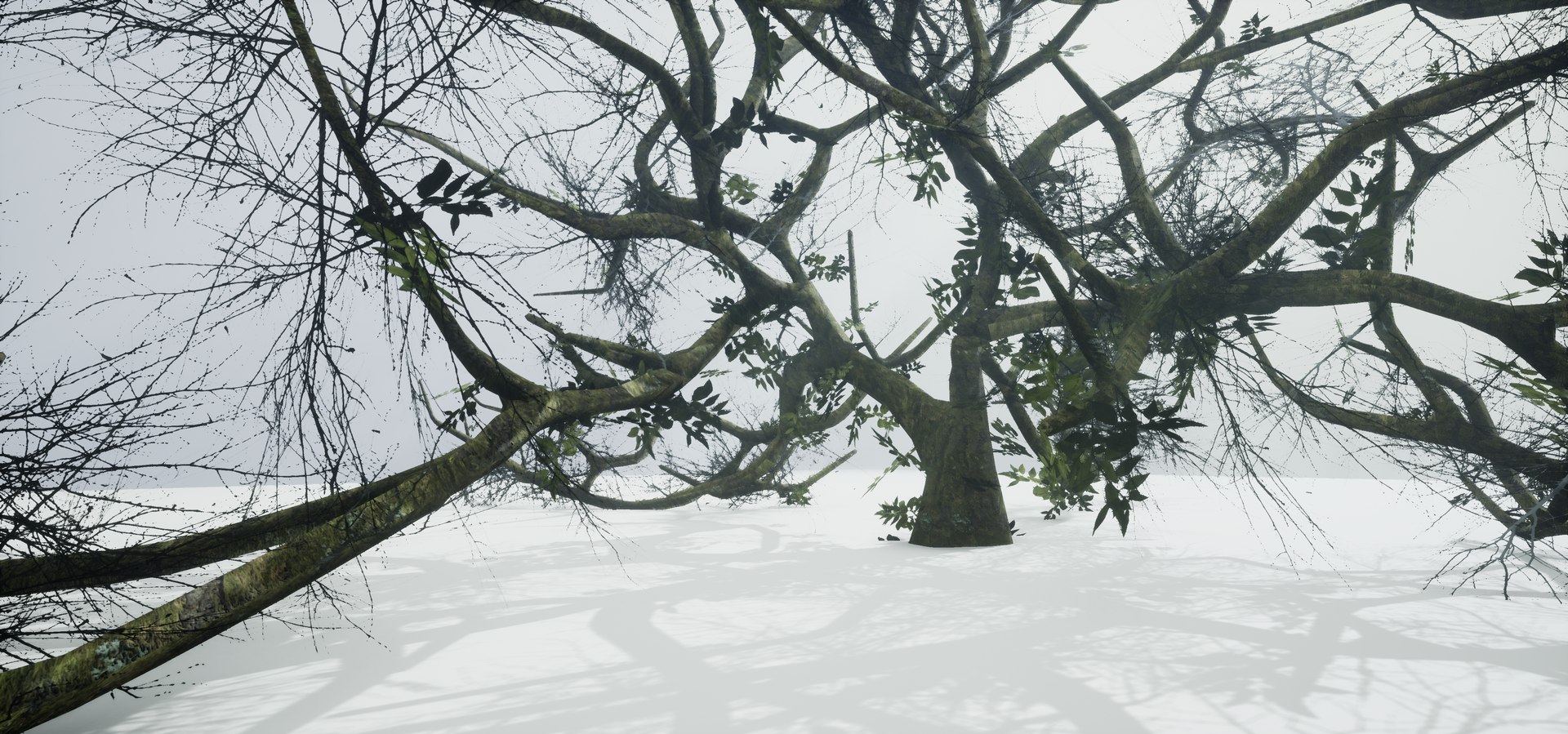 free leaves trunk 3d model https://p.turbosquid.com/ts-thumb/RE/XJHcoh/G2aGhFJs/highresscreenshot00054/png/1518307729/1920x1080/fit_q87/276ae889b0f3815cd277dbc93c8e4b1616887a05/highresscreenshot00054.jpg