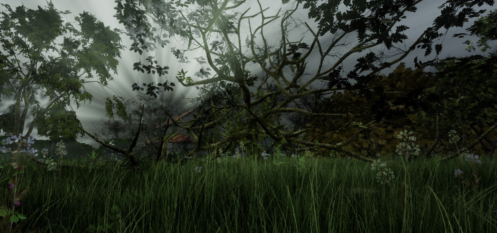 free leaves trunk 3d model https://p.turbosquid.com/ts-thumb/RE/XJHcoh/KaUXRiQw/highresscreenshot00060/png/1518307729/1920x1080/fit_q87/97960950016d3b31fb002386cc19f0fef922c427/highresscreenshot00060.jpg