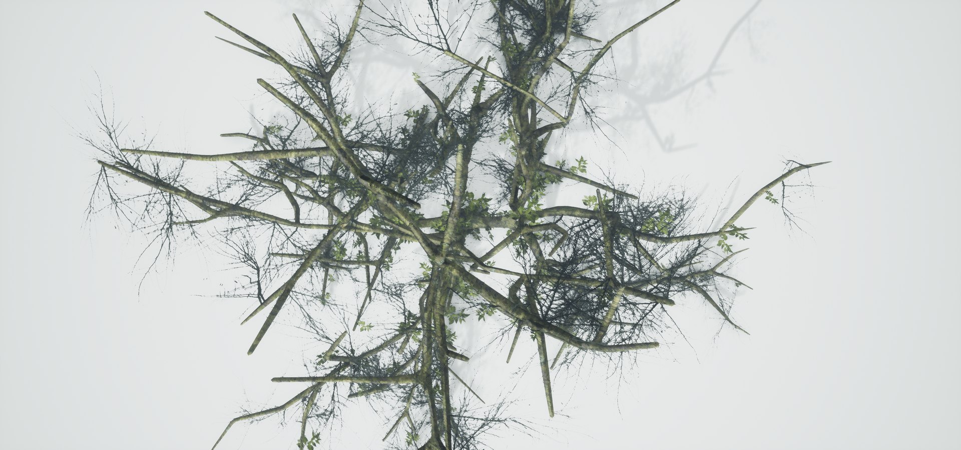 free leaves trunk 3d model https://p.turbosquid.com/ts-thumb/RE/XJHcoh/LoCRakmx/highresscreenshot00055/png/1518307729/1920x1080/fit_q87/e836f2bbce3fd4660e136805dd7a6ab5eb95d3c5/highresscreenshot00055.jpg