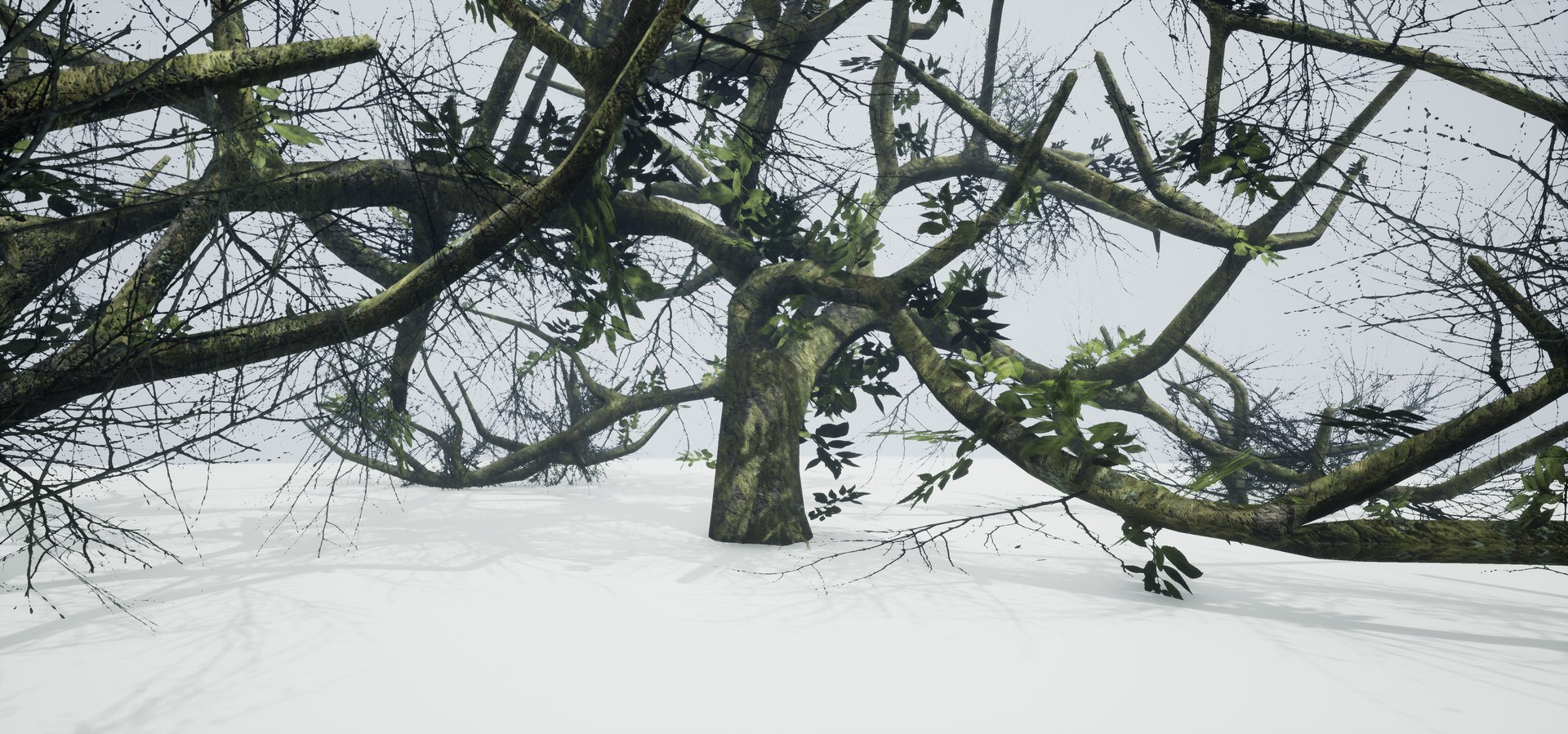 free leaves trunk 3d model https://p.turbosquid.com/ts-thumb/RE/XJHcoh/LxeM5Q4Q/highresscreenshot00053/png/1518307729/1920x1080/fit_q87/3733730b027542c32b1b3494da7bc204125cba98/highresscreenshot00053.jpg
