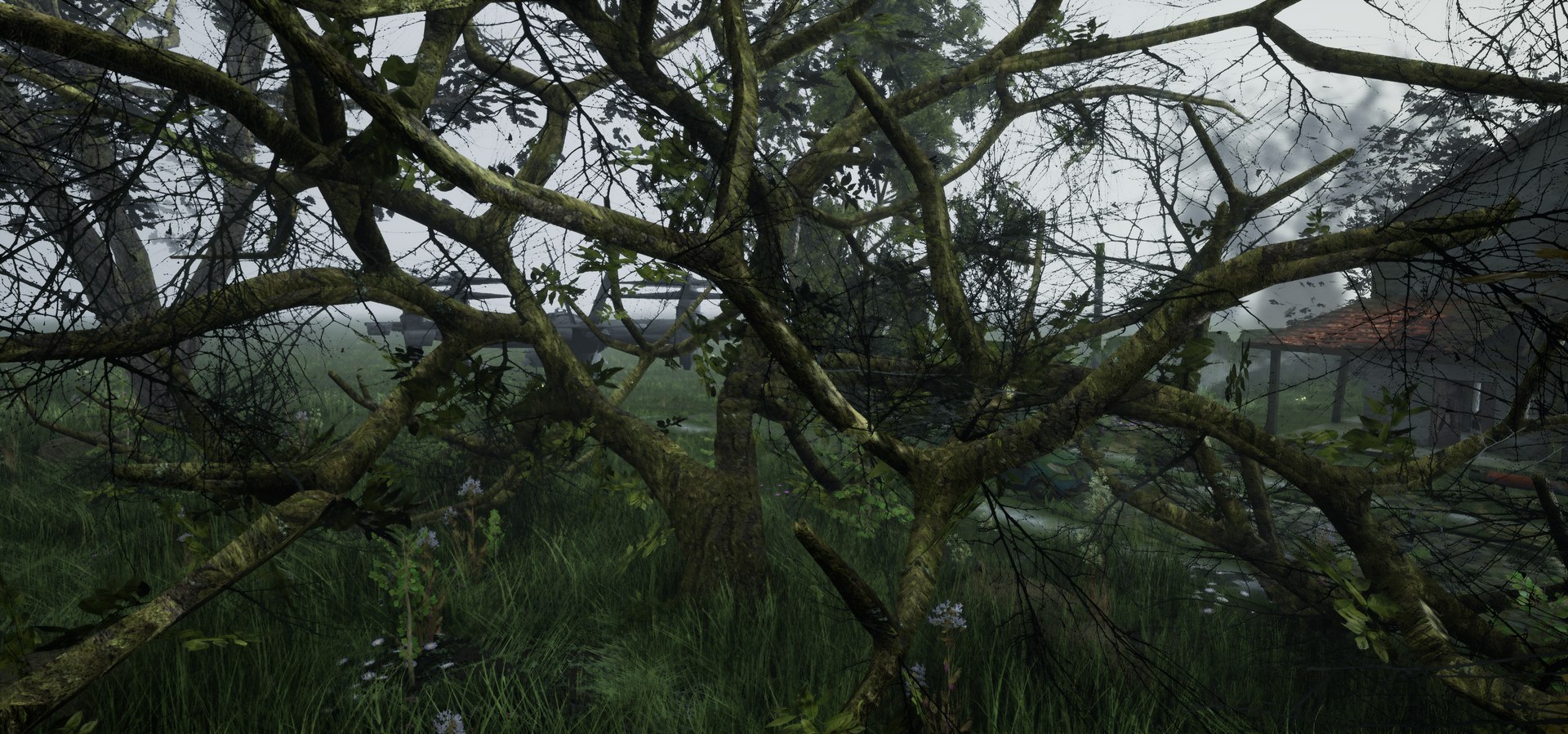 free leaves trunk 3d model https://p.turbosquid.com/ts-thumb/RE/XJHcoh/Spkl6XFf/highresscreenshot00063/png/1518307729/1920x1080/fit_q87/87afcfe19e528541b55b6b2e66779db602441a01/highresscreenshot00063.jpg