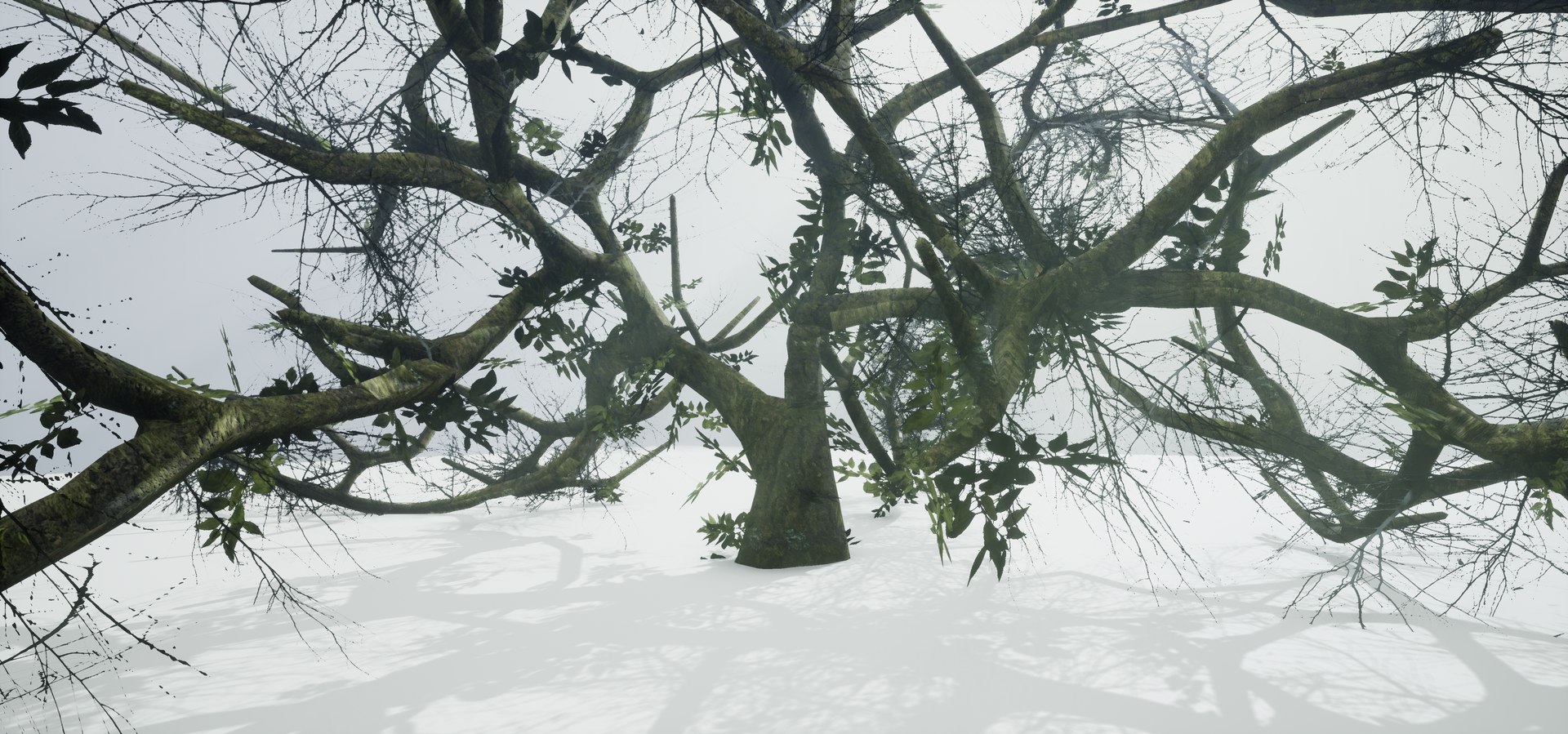 free leaves trunk 3d model https://p.turbosquid.com/ts-thumb/RE/XJHcoh/boM6JX3v/highresscreenshot00045/png/1518307729/1920x1080/fit_q87/76a81ea522cb84bf12a48ef5690d8322f1efd285/highresscreenshot00045.jpg