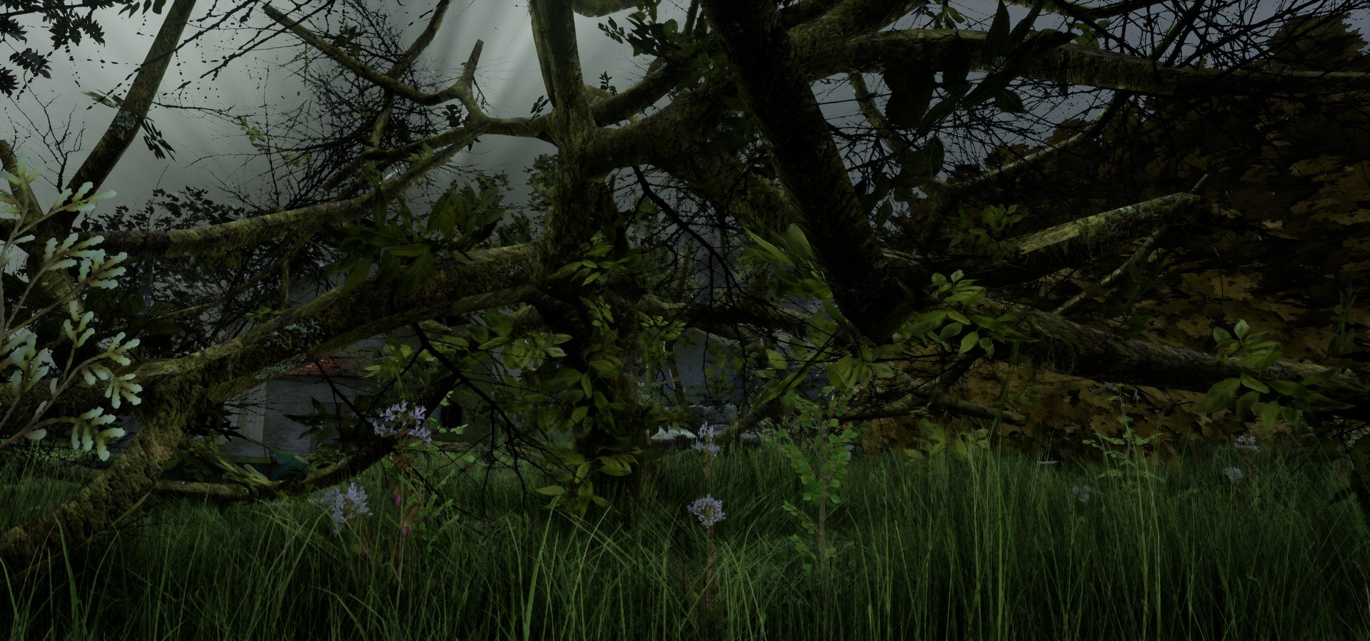 free leaves trunk 3d model https://p.turbosquid.com/ts-thumb/RE/XJHcoh/cQS3tPNV/highresscreenshot00062/png/1518307729/1920x1080/fit_q87/a9e519a03cacc2fedc3c9bcab0be539f2292a121/highresscreenshot00062.jpg