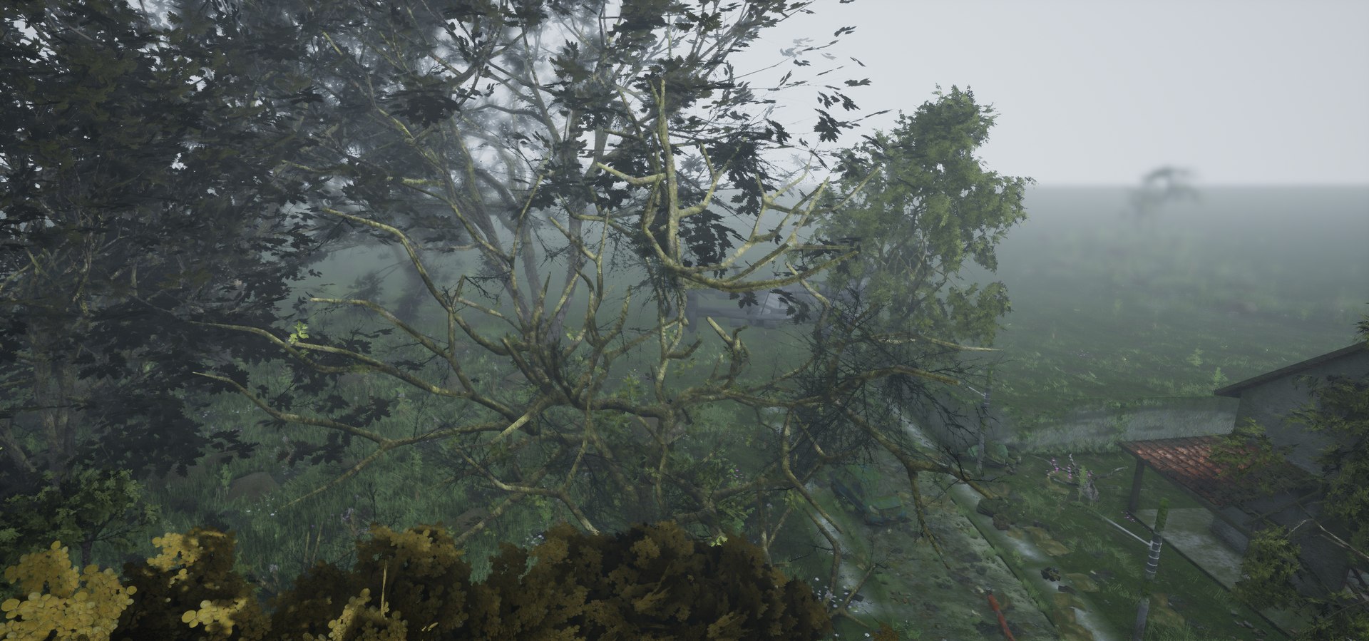 free leaves trunk 3d model https://p.turbosquid.com/ts-thumb/RE/XJHcoh/gDP2usRX/highresscreenshot00065/png/1518307729/1920x1080/fit_q87/e4e5faebc156909191263a28c0704c41c7dda392/highresscreenshot00065.jpg