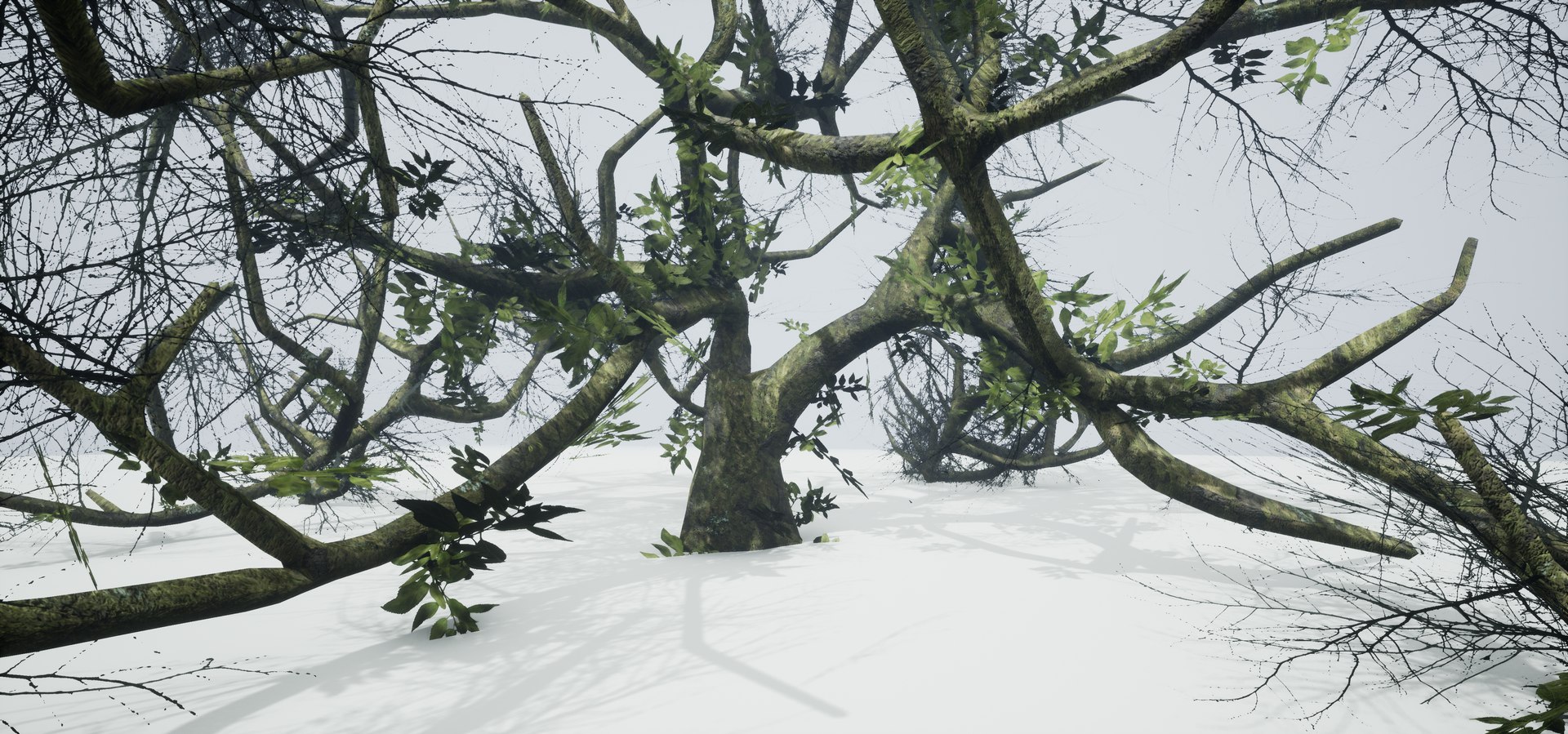 free leaves trunk 3d model https://p.turbosquid.com/ts-thumb/RE/XJHcoh/jQYKiGma/highresscreenshot00044/png/1518307729/1920x1080/fit_q87/98aad73cfd3c342d8b1b3861fd96923e8338c969/highresscreenshot00044.jpg