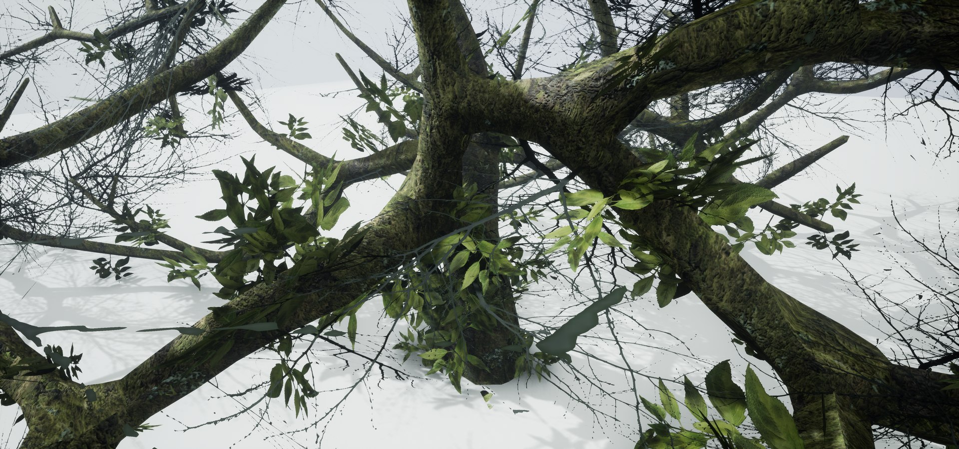 free leaves trunk 3d model https://p.turbosquid.com/ts-thumb/RE/XJHcoh/m9KFyuuh/highresscreenshot00046/png/1518307729/1920x1080/fit_q87/17884a984b02ffeaefc2087735e40e8ab4583001/highresscreenshot00046.jpg