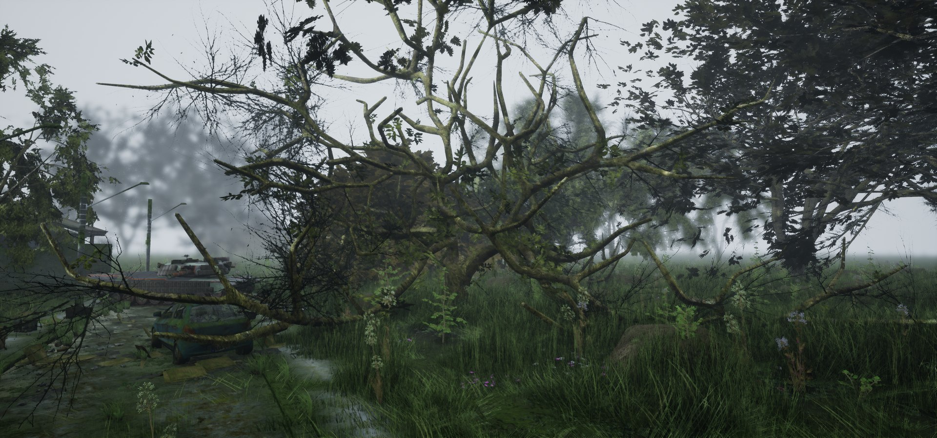 free leaves trunk 3d model https://p.turbosquid.com/ts-thumb/RE/XJHcoh/oOuG9630/highresscreenshot00059/png/1518307729/1920x1080/fit_q87/1a08955ab1f7f0efffc380fb8285effe7d5c6612/highresscreenshot00059.jpg