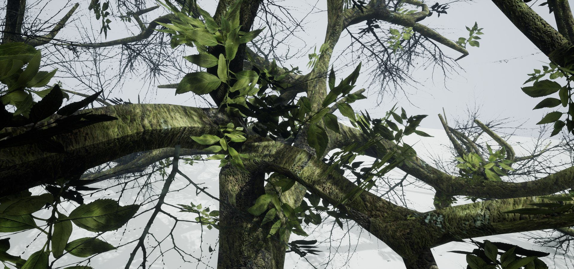 free leaves trunk 3d model https://p.turbosquid.com/ts-thumb/RE/XJHcoh/p0VJlIa5/highresscreenshot00047/png/1518307729/1920x1080/fit_q87/7def863dfdf23d532be5b4485708c0595409bb16/highresscreenshot00047.jpg