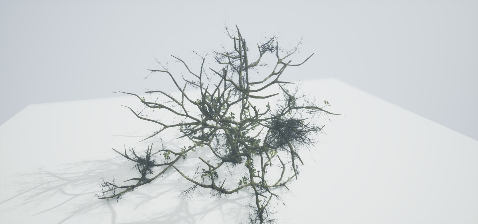 free leaves trunk 3d model https://p.turbosquid.com/ts-thumb/RE/XJHcoh/q673V4Xv/highresscreenshot00057/png/1518307729/1920x1080/fit_q87/187fcf264fa48c1a1a0597989fb33b0c02a3e685/highresscreenshot00057.jpg