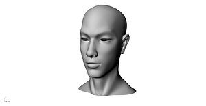 Realistic White Male Head Bundle 3D model