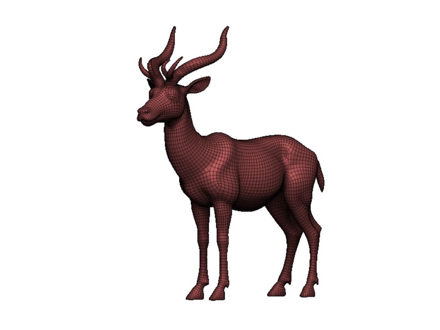 Okapi Model - TurboSquid 2435208