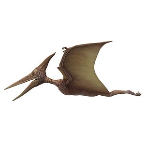 pterodactylus reptile 3D model