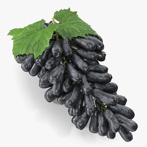 Wet Grape Lady Finger Sweet Sapphire Lying