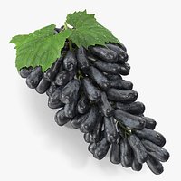 Wet Grape Lady Finger Sweet Sapphire Lying