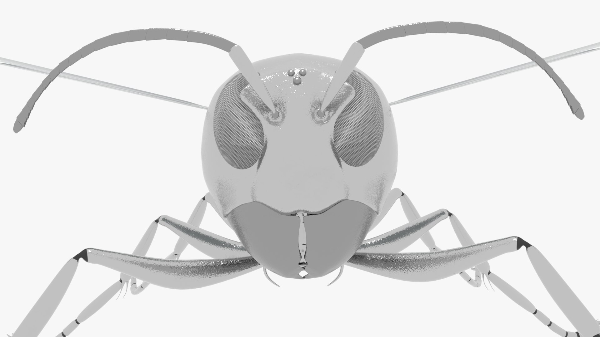 robot wasp 3D https://p.turbosquid.com/ts-thumb/RF/0dGkzt/Dw/0022/png/1616182201/1920x1080/fit_q87/40c4576ee1402361b1fa26852ca584a2b6b5db23/0022.jpg