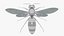 Avispa robot