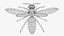 Avispa robot