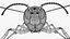 Avispa robot