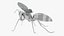 Avispa robot
