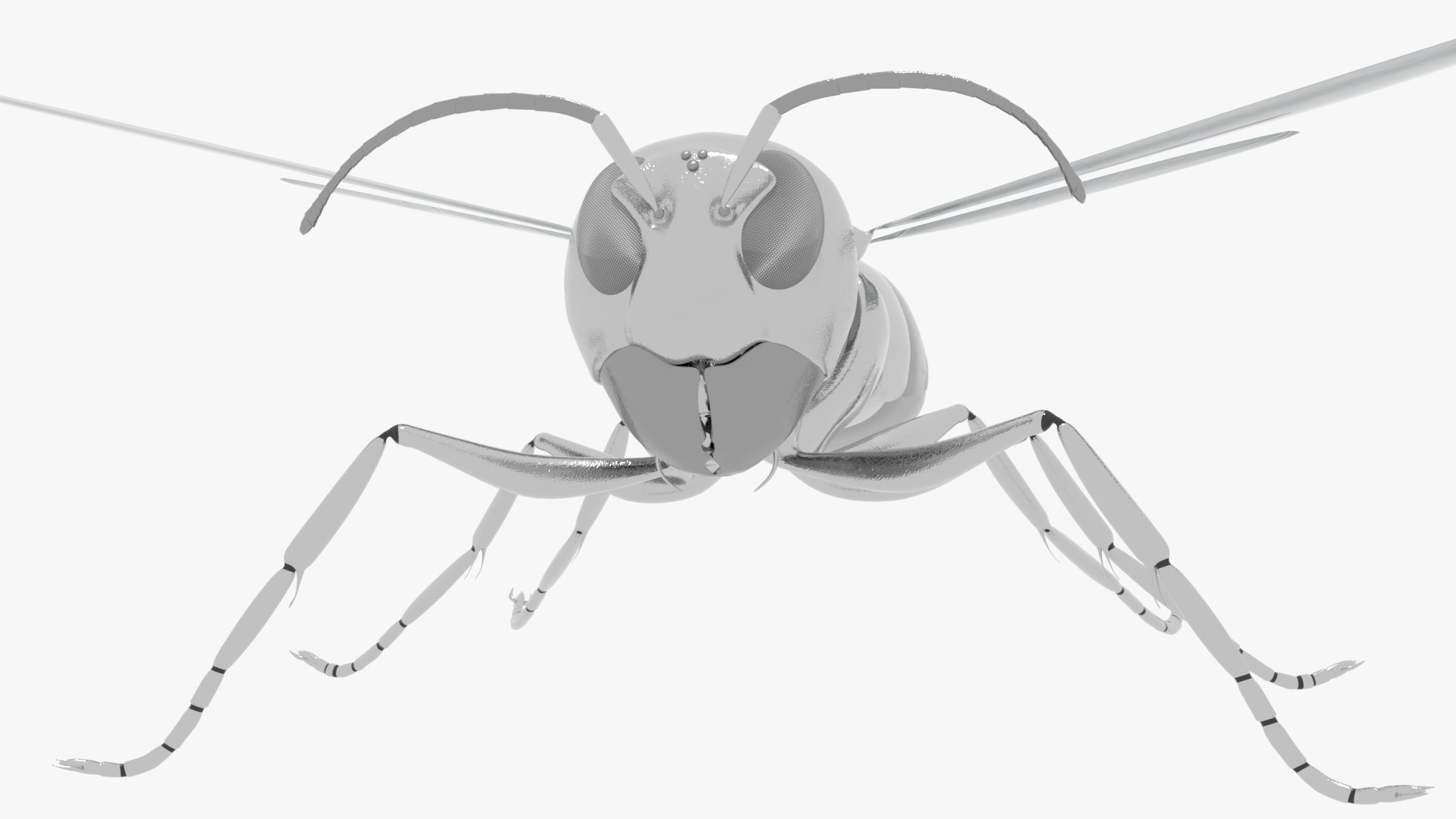 robot wasp 3D https://p.turbosquid.com/ts-thumb/RF/0dGkzt/qJ/0011/png/1616182190/1920x1080/fit_q87/491198f1aa27421c8218e80bdc1ad6111d2c9caf/0011.jpg
