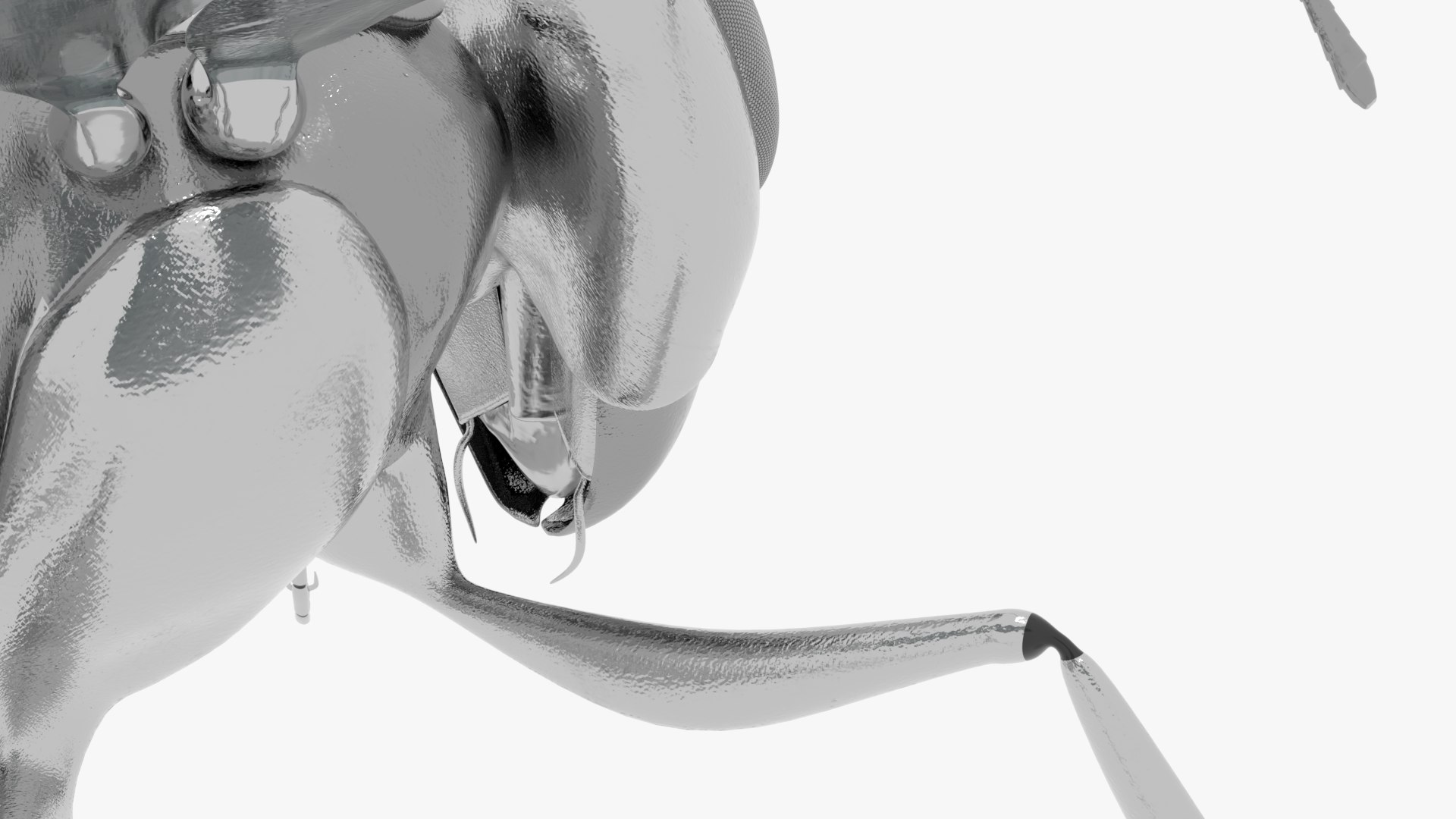 robot wasp 3D https://p.turbosquid.com/ts-thumb/RF/0dGkzt/sj/0006/png/1616182091/1920x1080/fit_q87/4cc9f8dca24aa0d50bfcdc69939837e523accaa3/0006.jpg