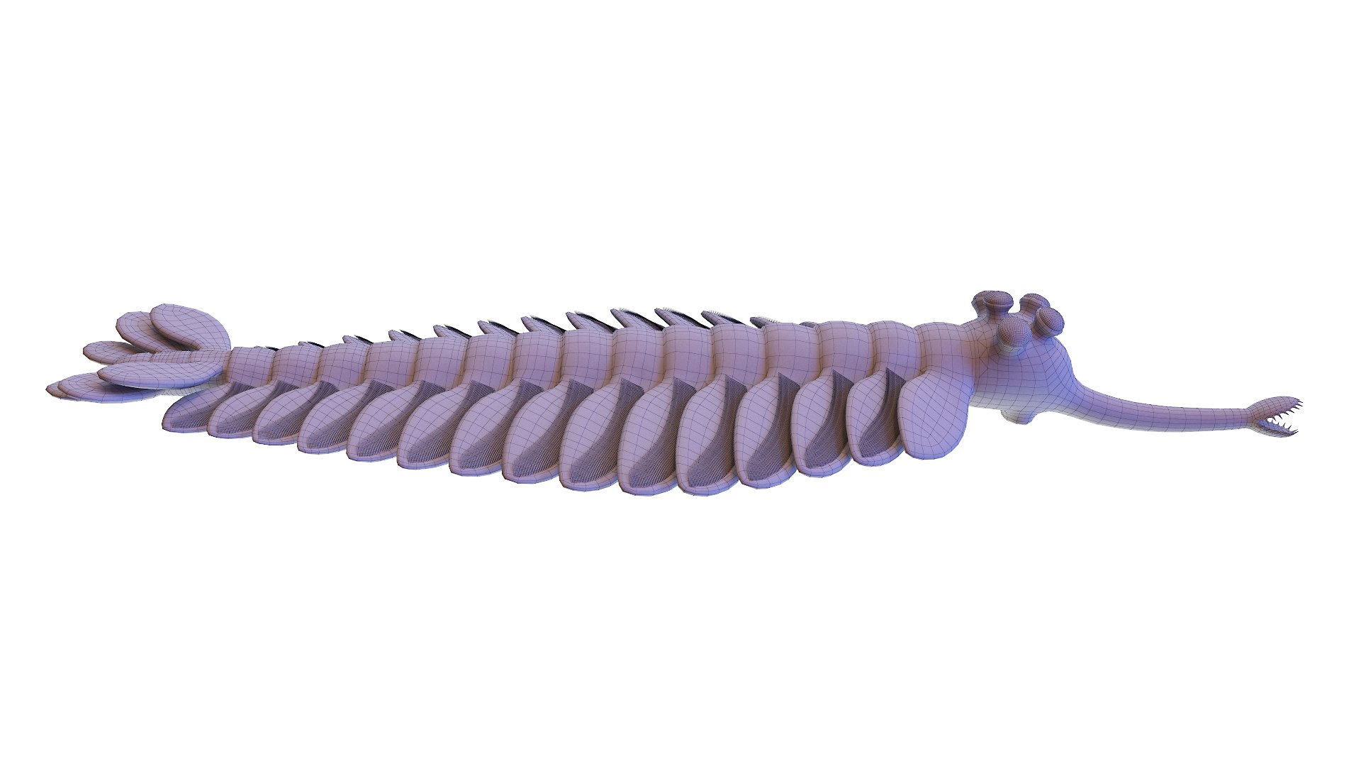 3D Opabinia Animated https://p.turbosquid.com/ts-thumb/RF/0zSP4Y/H1/opabinia_wire0002/jpg/1630936476/1920x1080/fit_q87/9e491e4e75933ec62c6551982c954ba4803310f4/opabinia_wire0002.jpg