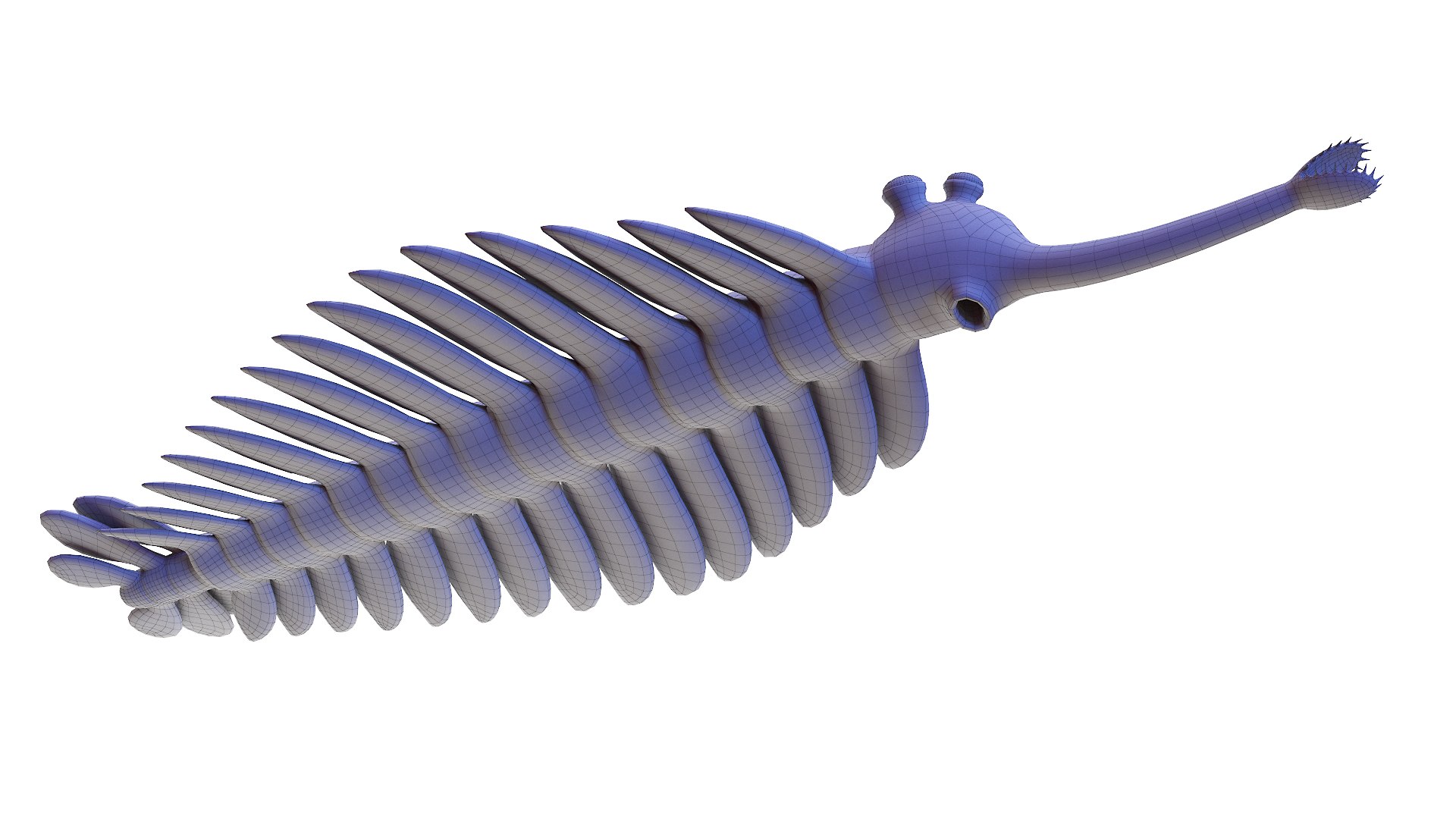 3D Opabinia Animated https://p.turbosquid.com/ts-thumb/RF/0zSP4Y/kq/opabinia_wire0004/jpg/1630936476/1920x1080/fit_q87/d23c9582a872561c84d5c89efce2df9f97471268/opabinia_wire0004.jpg
