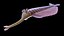 Opabinia Animated