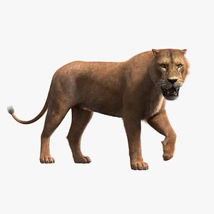 3d ma rigged lioness fur
