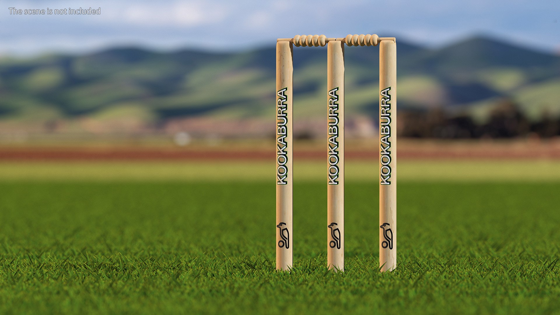 3D Kookaburra Cricket Stumps Set - TurboSquid 2202043