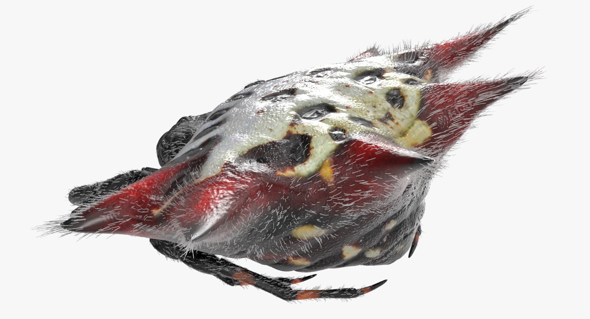 3D Rigged Spiders Collection 3 https://p.turbosquid.com/ts-thumb/RF/PKBe9x/GU/riggedspiderscollection33dsmodel051/jpg/1704402637/1920x1080/fit_q87/87dc08972583484739fb86c01c941294403ec5aa/riggedspiderscollection33dsmodel051.jpg