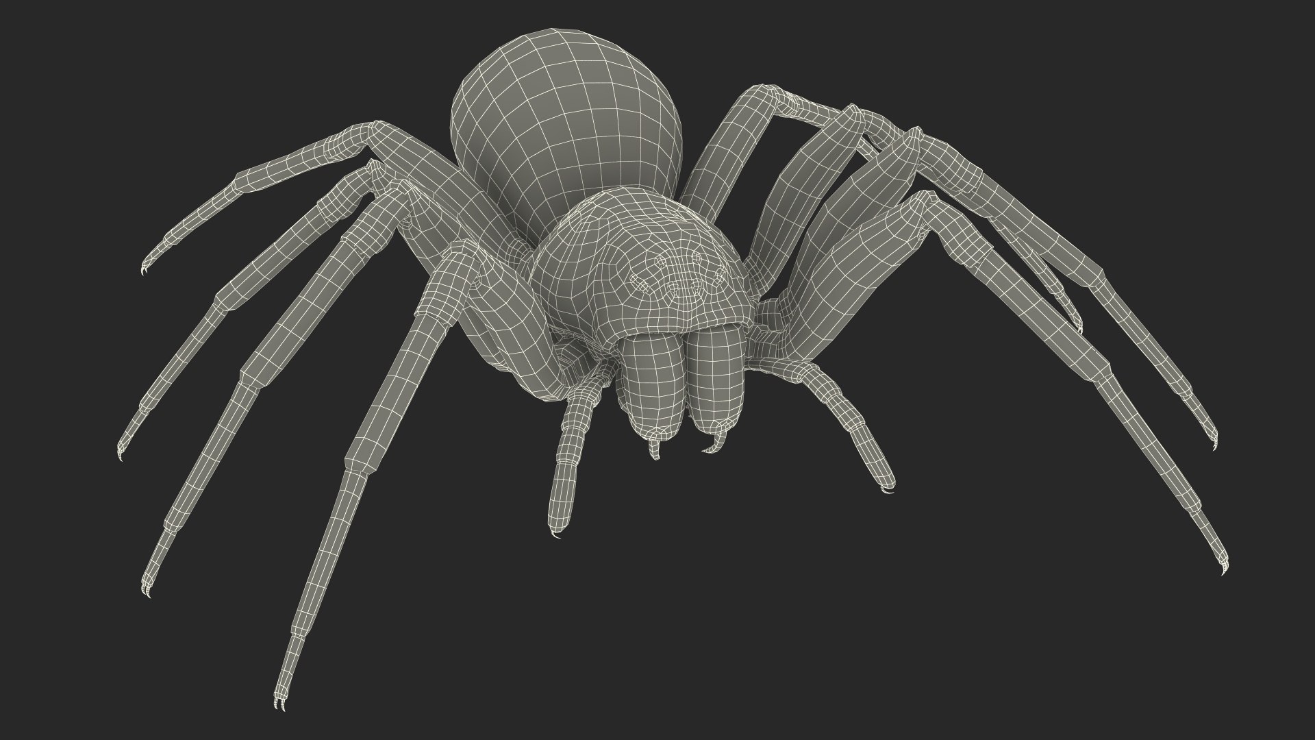3D Rigged Spiders Collection 3 https://p.turbosquid.com/ts-thumb/RF/PKBe9x/M9/riggedspiderscollection33dsmodel068/jpg/1704402706/1920x1080/fit_q87/d404fc74206ed2ee4862eacb94c23cff406b3d28/riggedspiderscollection33dsmodel068.jpg