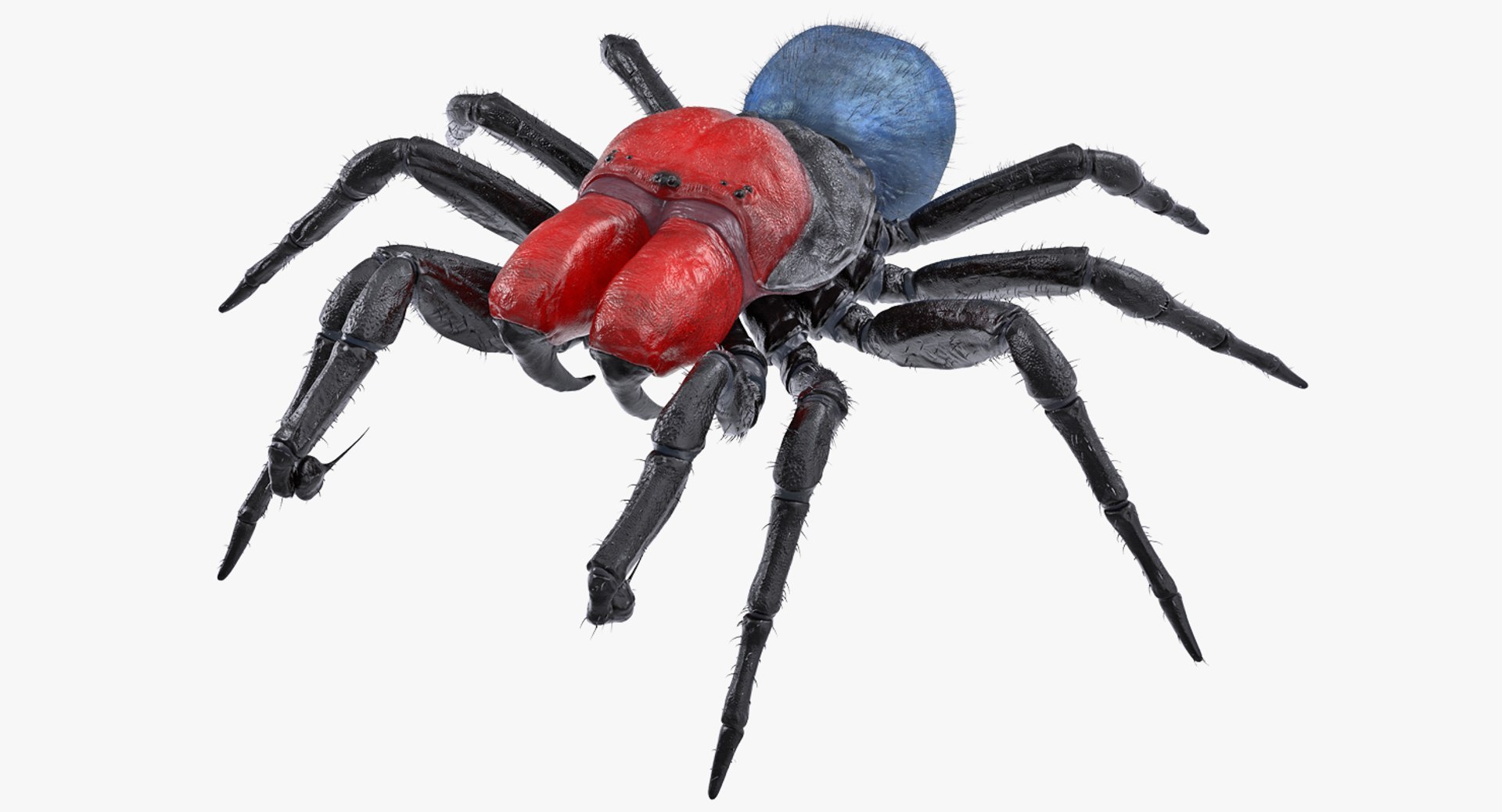 3D Rigged Spiders Collection 3 https://p.turbosquid.com/ts-thumb/RF/PKBe9x/UU/riggedspiderscollection33dsmodel053/jpg/1704402645/1920x1080/fit_q87/1e1a48b924bc0201a81b5eefad2bb8de9c1d86f5/riggedspiderscollection33dsmodel053.jpg