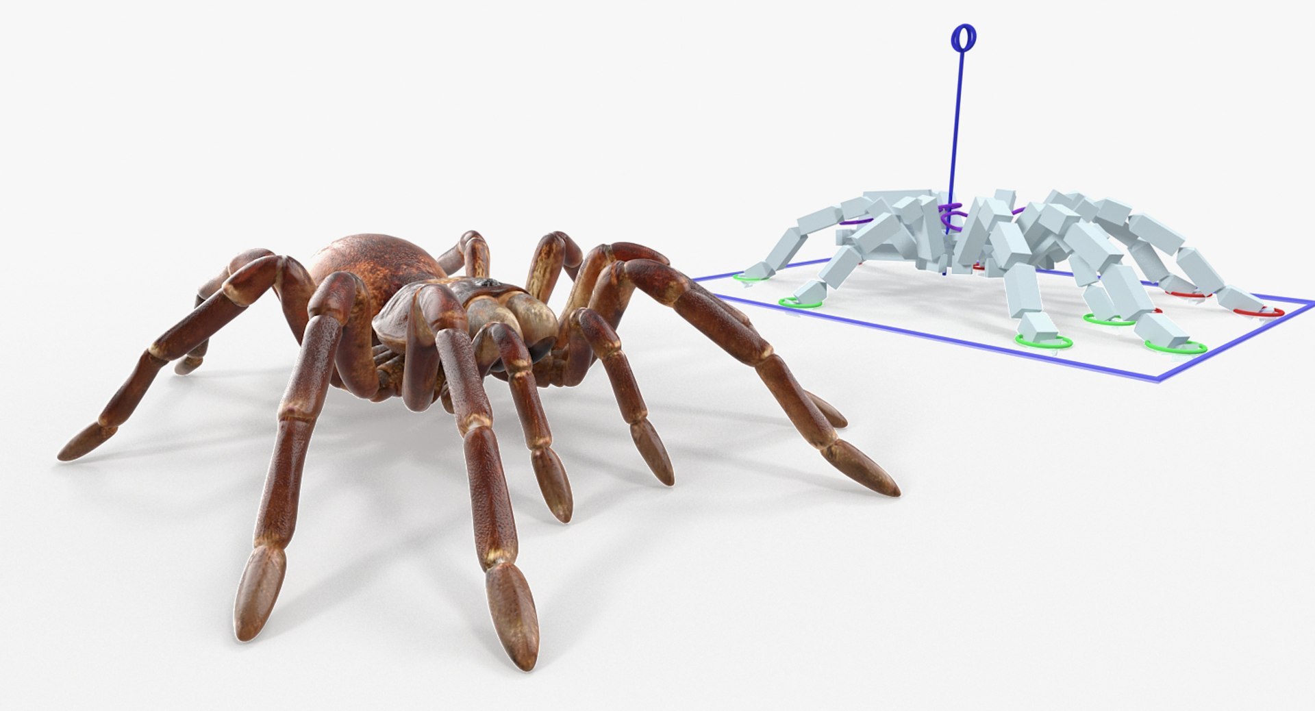 3D Rigged Spiders Collection 3 https://p.turbosquid.com/ts-thumb/RF/PKBe9x/WK/riggedspiderscollection33dsmodel024/jpg/1704402513/1920x1080/fit_q87/264ab20bb09f7f187e32b9fb67faf725cf0686d5/riggedspiderscollection33dsmodel024.jpg