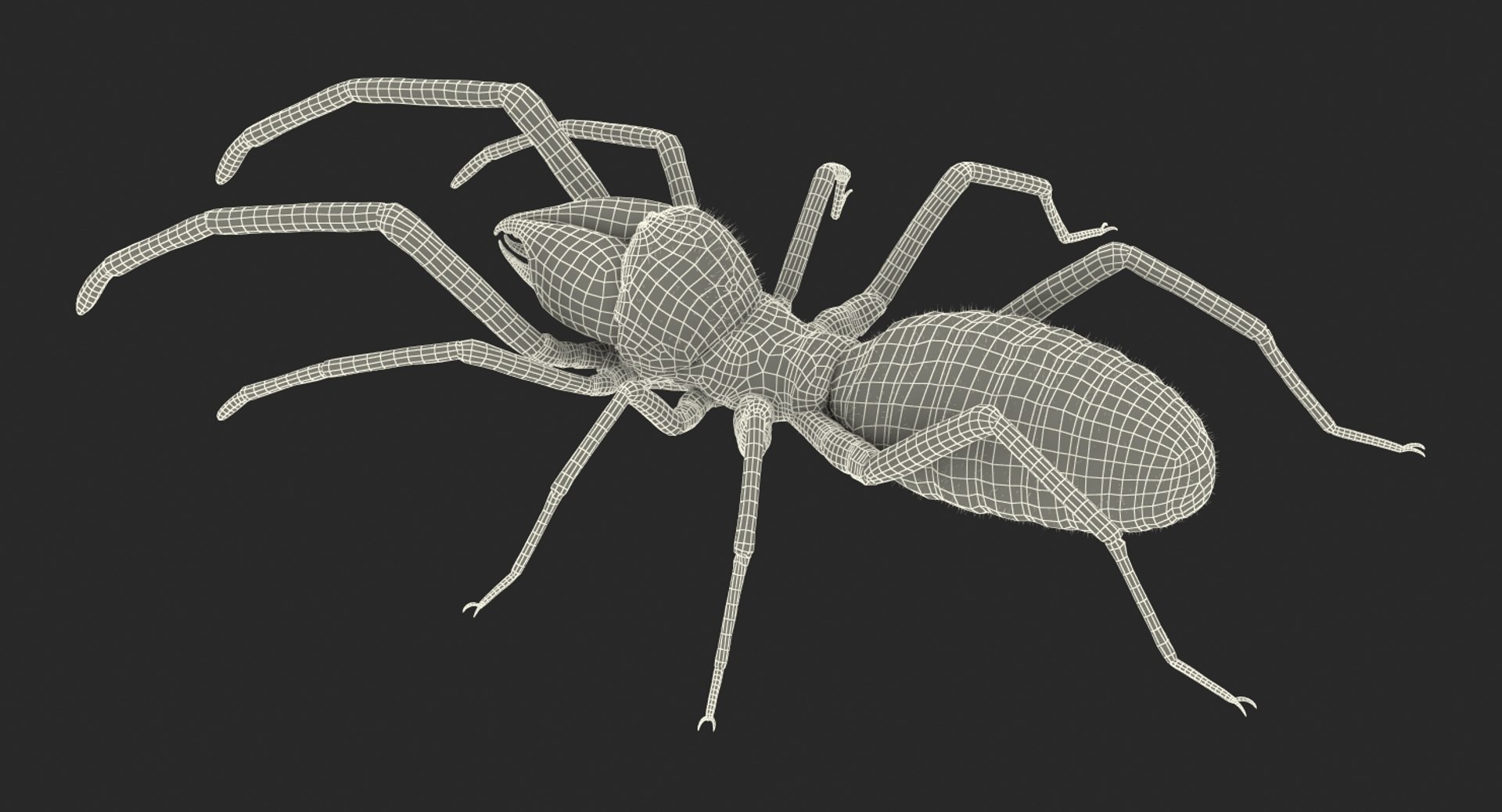 3D Rigged Spiders Collection 3 https://p.turbosquid.com/ts-thumb/RF/PKBe9x/YE/riggedspiderscollection33dsmodel070/jpg/1704402715/1920x1080/fit_q87/9db7c5ee03d91f94803f2b9e295fbcccaa494032/riggedspiderscollection33dsmodel070.jpg
