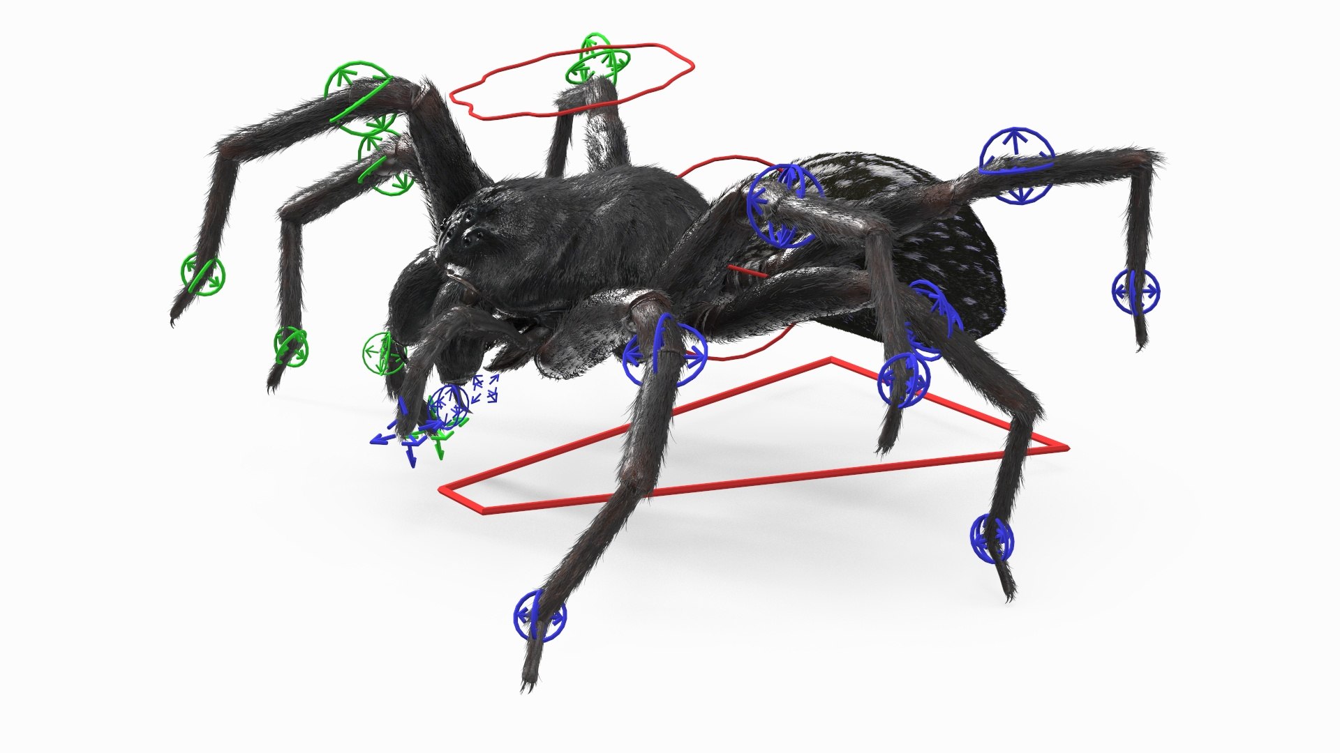 3D Rigged Spiders Collection 3 https://p.turbosquid.com/ts-thumb/RF/PKBe9x/aa/riggedspiderscollection33dsmodel010/jpg/1704402448/1920x1080/fit_q87/6e04d1e65abfb1296aa40c4752ddc17ec2c6e67b/riggedspiderscollection33dsmodel010.jpg